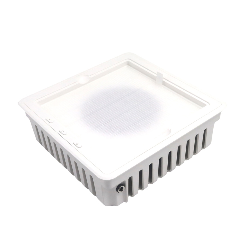 Ekstraktor Debu Kuku Profesional